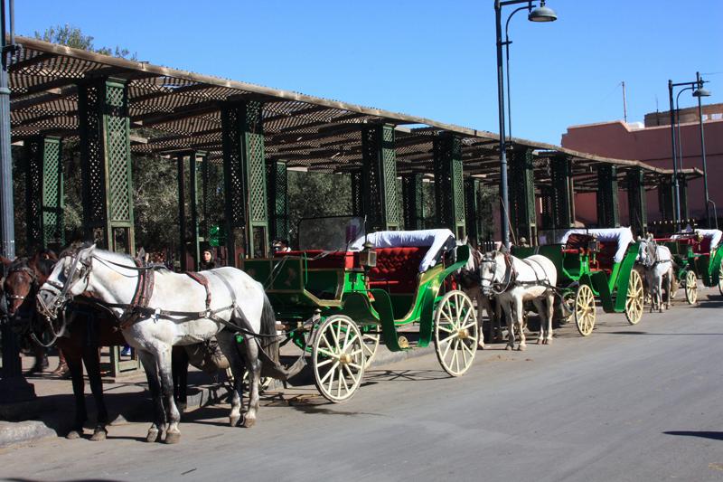 324-Marrakech,1 gennaio 2014.JPG